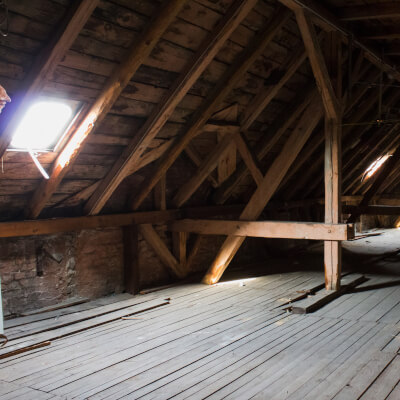 bat removal from attic